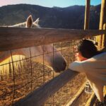 Michelle Rodriguez Instagram - I think horse people are the kind of people who die happy people. Cause anyone sensitive enough to love these creatures has to understand the secret beauty in the simplicity of life... Too amazing to miss
