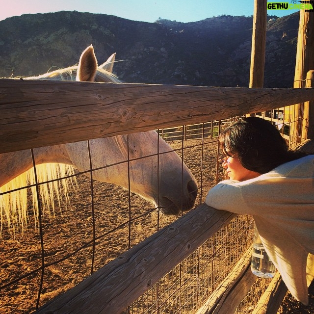 Michelle Rodriguez Instagram - I think horse people are the kind of people who die happy people. Cause anyone sensitive enough to love these creatures has to understand the secret beauty in the simplicity of life... Too amazing to miss