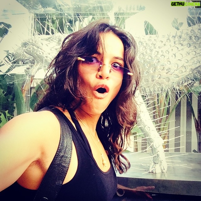 Michelle Rodriguez Instagram - Spiky Cheetah Sweet