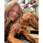 Michelle Stafford Instagram - I hear people with crazy dogs live longer