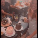 Michelle Stafford Instagram - And by the way… make sure you always have 2 cakes. 🩷💜 #virgonation