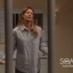 Michelle Stafford Instagram - Thank you @lfdlayr for sending this. I don’t know how well received the storyline was but it was one of my favorites to play! Shelia, played formerly and presently of course by the great @kimberlin_brown had plastic surgery to look like Phyllis. I LOOOOOOVED working solely with @christianjleblanc and @dougdavidsonyr on this. All these jail cell scenes were fun. So different. I do remember we all had a hard time getting past the “you want the shank, come get it” line without laughing our asses off. Oh man!! These days were BEYOND fun!! ❤️❤️❤️❤️ #YR