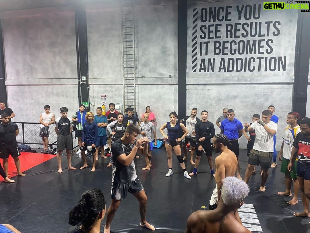 Mickey Gall Instagram - Amazing experience teaching a seminar @mmacolombia I got to share some cool techniques, have some cool conversations, and meet some even cooler people Big thanks to @empiremma_ & @medicobelico for putting this together If you were at the seminar please comment what part you liked most to remind yourself to practice the technique and to let me know what was connecting. Also comment so I can tag you if I didn’t so I can stay in touch w my new amigos, amigas, hermanos and hermanas Hmu if you want me to do a seminar at your gym. I enjoy doing them and knock them out of the park if I can say so myself I am putting exclusive clips from the seminar up on my @onlyfans MMA COLOMBIA