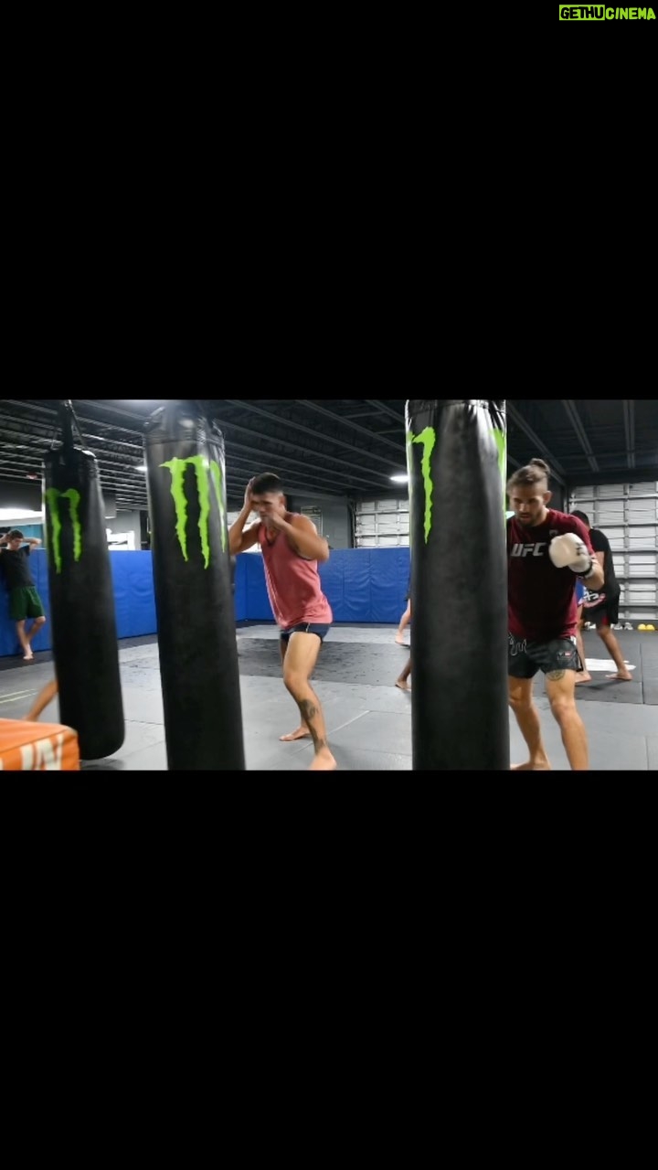 Mickey Gall Instagram - Myself and @cgiagos_ufc working the heavy bag sharpening our tools šŖ Fueled by @thestampedenetwork bee bread šššŖ I was gettin a little sick last week from and I doubled up my bee bread intake and nipped that lil sickness right in the bud. Mad benefits look into it @thestampedenetwork