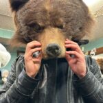 Mickey Gall Instagram - Bearly was in Alaska a day before I took out a grizzly. Told y’all I could @slicknthickshow 😎I’m pretty badass, what else can I say 💁🏻‍♂️ Fairbanks, Alaska