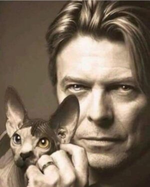 Mickey Rourke Instagram - David. Miss this brilliant talent& friend❤️👏❤️ Mickey DIMA& KIDSWUFFWUFF