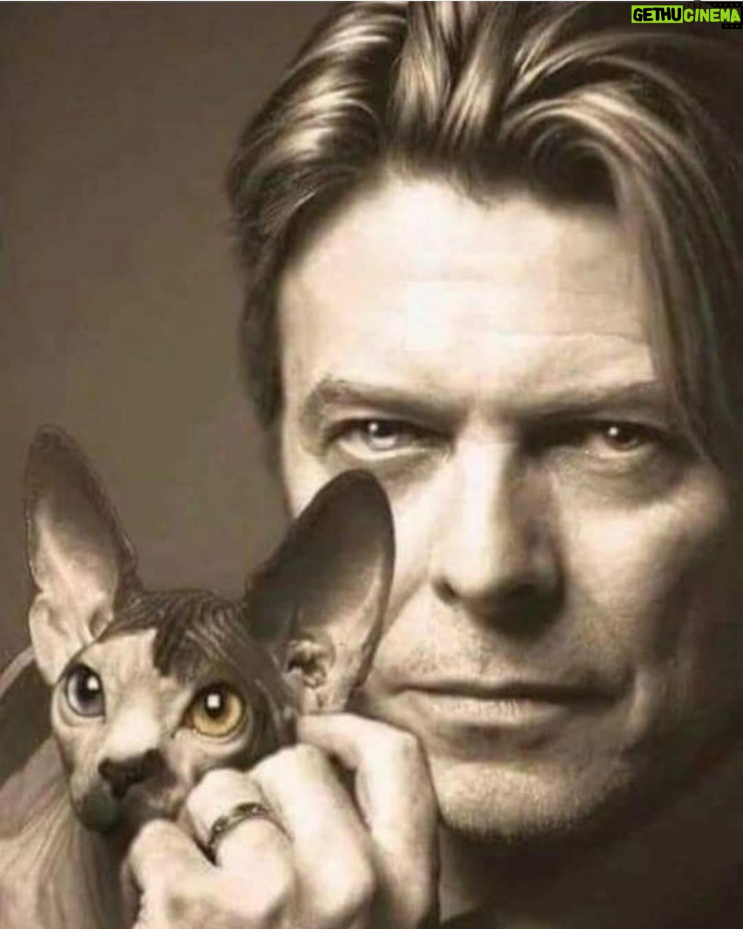 Mickey Rourke - 1.3K Likes - David. Miss this brilliant talent& friend❤️👏❤️ Mickey DIMA& KIDSWUFFWUFF