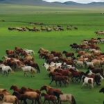 Mickey Rourke Instagram - Beautiful sight,magnificent creatures,we should do everything we can to make sure the wild horses are treated with utmost love and concern. Blessings Mickey,Dima & kids wuffwuffwuff ❤️❤️❤️❤️
