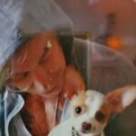 Mickey Rourke Instagram - Dima and i wanna send a very special thank you to Dr. Lisa Newell @malibuvet and all of her wonderful staff helping our "LILL JOE" with his recovery. Like most chihuahuas unfortunately that is acceptable to "CONGENITAL HEART ISSUE" Lill Joe is now 10 yo and so loved. He's never been away from home before,at night especially he is greatly missed. "Lill JOE"..."is a fighter,he's a tough fucker! He wants to be here. He will back the day after tomorrow. Please keep him@in your thoughts and prayers. Mickey,Dima and kids wuffwuffwuff ❤️❤️❤️❤️❤️❤️❤️❤️❤️❤️