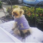 Mickey Rourke Instagram - Won't b on or using my "Instagram for a long while. M.!!!