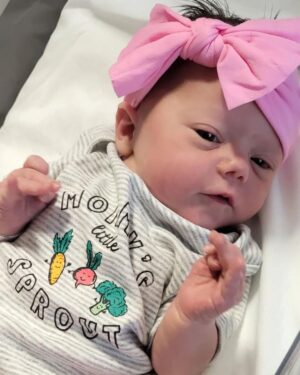 Micky Dolenz Instagram - Say hello to my new granddaughter 
Beatrix Wren Brenner!
The proud parents are my daughter, Emily and her husband, William. 
Welcome little one!💝