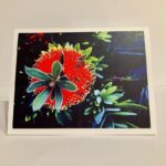Micky Dolenz Instagram - Note cards now available! Emily Dolenz has created 3 different themed sets flowers, landscapes and animals. Each pack comes with envelopes. https://edolenzphotos.etsy.com @turtleandthebee #emilydolenzphotography #emilydolenz #photonotecards
