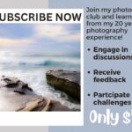 Micky Dolenz Instagram - Subscribe to Turtle and the Bee - Emily Dolenz’ photography club! Just click the subscribe button on her Facebook page. @turtleandthebee #photography #subscribe #photographyclub