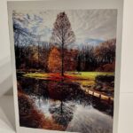 Micky Dolenz Instagram - Note cards now available! Emily Dolenz has created 3 different themed sets flowers, landscapes and animals. Each pack comes with envelopes. https://edolenzphotos.etsy.com @turtleandthebee #emilydolenzphotography #emilydolenz #photonotecards