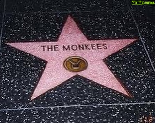Micky Dolenz - 4.1K Likes - July 10, 1989, The Monkees received a star on the Hollywood Walk of Fame. #mickydolenz #michaelnesmith #davyjones #petertork #themonkees #thehollywoodwalkoffame @themonkees @hwdwalkoffame