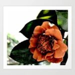 Micky Dolenz Instagram - My daughter, Emily, now sells her photos as art prints at https://society6.com/edolenz There are some great gift ideas! @turtleandthebee @emilycbrenner #emilydolenzphotography #photography @society6