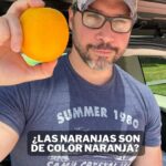 Miguel Augusto Rodríguez Instagram – ¿Las naranjas realmente son de color naranja? 🤔 Mi persona y @culturizando te traemos la respuesta en este nuevo #entreparéntesis , de igual manera te invitamos a buscar la información acá comentada en la web donde esta práctica es aprobada por la FDA acá en USA 😊 Curiosidades
