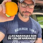 Miguel Augusto Rodríguez Instagram - ¿Las naranjas realmente son de color naranja? 🤔 Mi persona y @culturizando te traemos la respuesta en este nuevo #entreparéntesis , de igual manera te invitamos a buscar la información acá comentada en la web donde esta práctica es aprobada por la FDA acá en USA 😊 Curiosidades