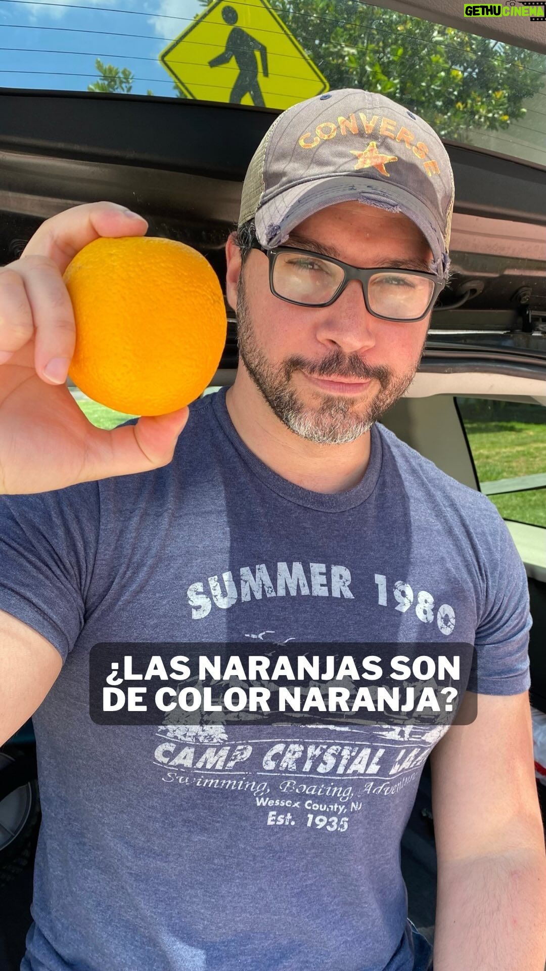 Miguel Augusto Rodríguez - 0.9K Likes - ¿Las naranjas realmente son de color naranja? 🤔 Mi persona y @culturizando te traemos la respuesta en este nuevo #entreparéntesis , de igual manera te invitamos a buscar la información acá comentada en la web donde esta práctica es aprobada por la FDA acá en USA 😊