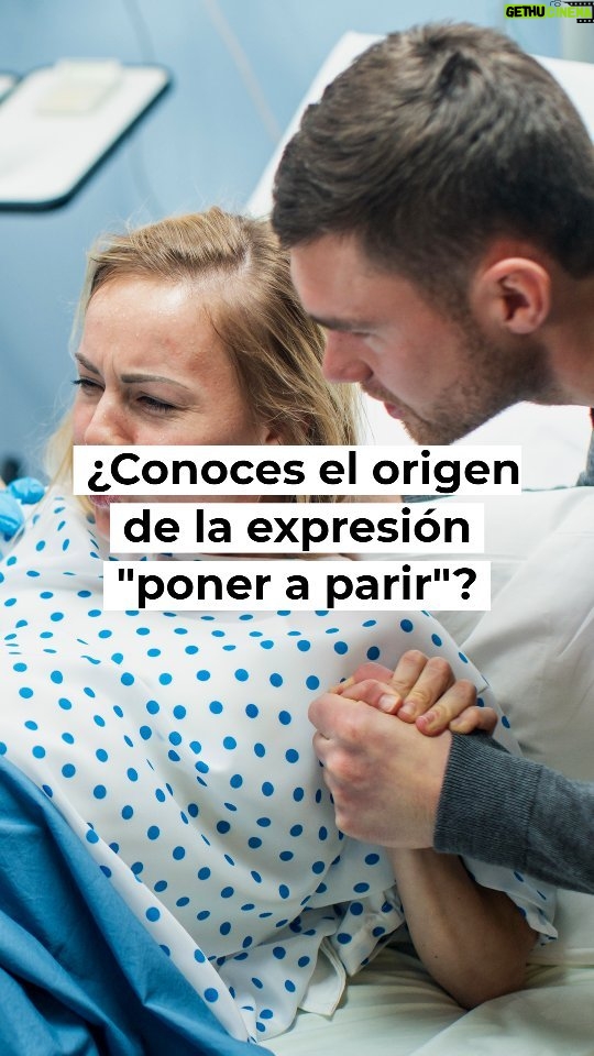 Miguel Augusto Rodríguez - 573 Likes - ¿Conoces el origen de la expresión "poner a parir"? Resulta que es más literal de lo que te imaginas. Hoy @MiguelAugusto20 en su sección #EntreParéntesis nos cuenta este curioso origen.
#culturizando #historia #curiosidades #datocurioso #nolosabia #culturizate #alimentatumente #palabras #expresiones