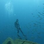 Miguel Bernardeau Instagram - 💙 @apneacanarias_tenerife @miguel_apnea