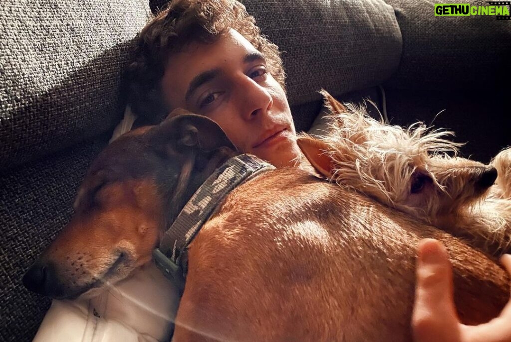 Miguel Herrán Instagram - Entre perros nos entendemos..🤫 📸: @aitor.higuera