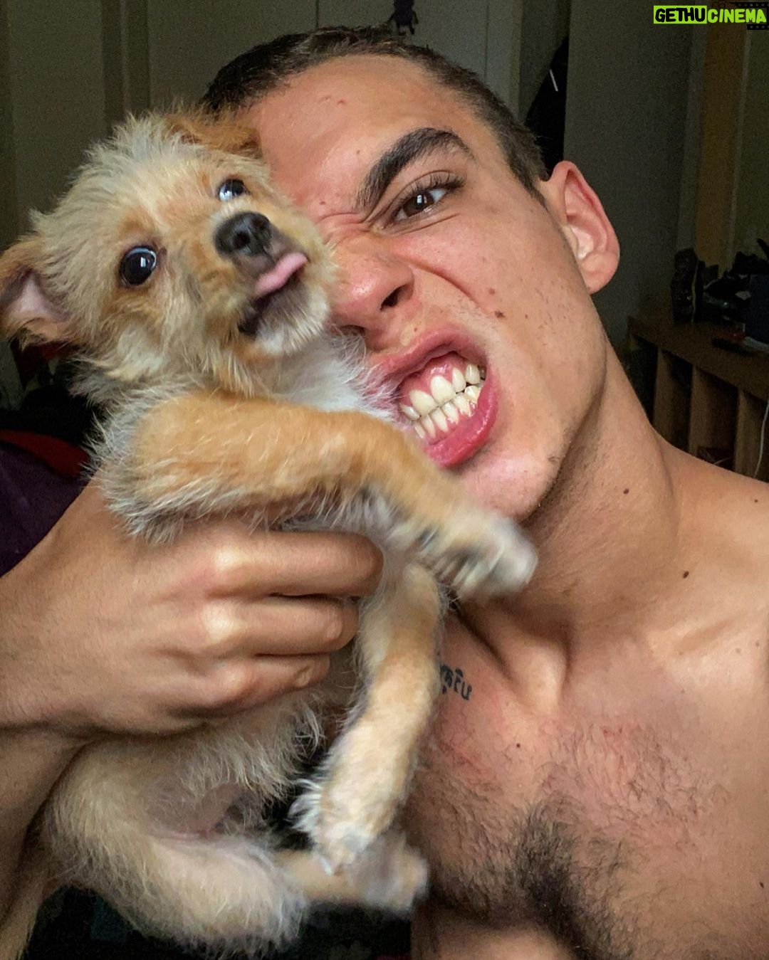 Miguel Herrán - 1.7 Million Likes - La nuestra es una relación de amor-odio.
Ella ama morderme.. y yo odio que me muerda..
(Instantes antes de esta foto se metió en mi cama, viajo hasta mi calzoncillo y con mucha destreza y precisión me mordió un huevo)