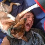 Miguel Herrán Instagram - Dos verdaderos machos vernaculos poderosos peleando por el sofá de casa..☻