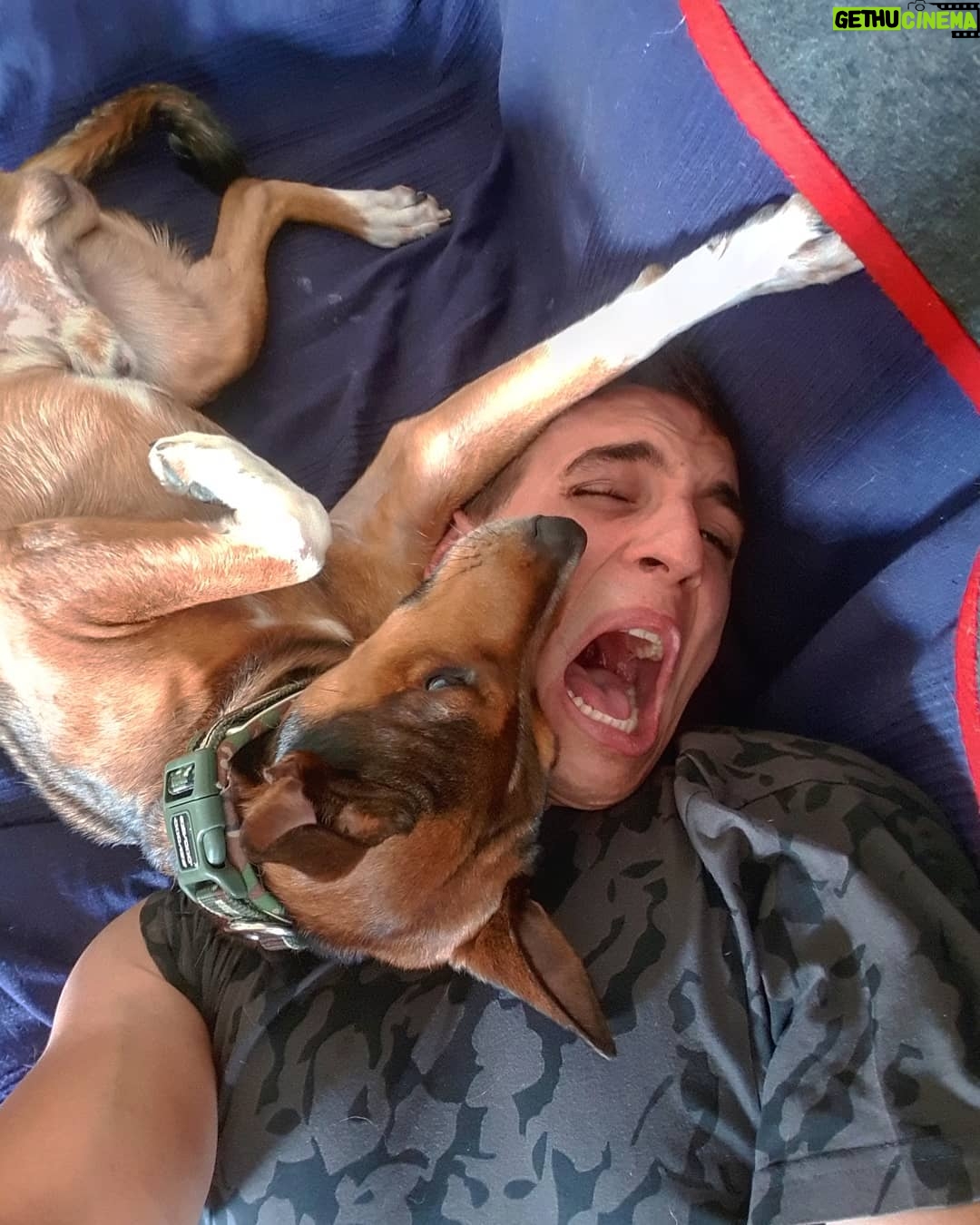 Miguel Herrán Instagram - Dos verdaderos machos vernaculos poderosos peleando por el sofá de casa..☻