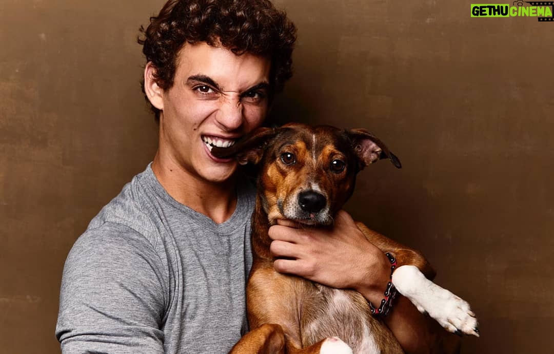 Miguel Herrán Instagram - Y por fin he conseguido ver a mi amigo @cucocuervo y hacer maravillas como esta.. 😊🐶