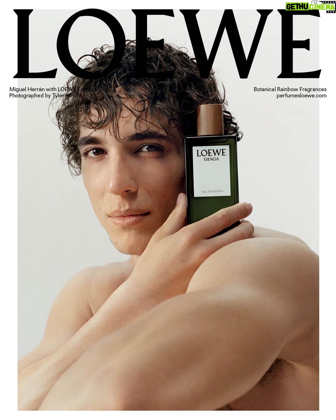 Miguel Herrán Instagram - Feliz y contento de poder formar parte de la nueva campaña de @loewe_perfumes 🥰 Gracias por contar conmigo!!🥹 Featuring @amalougistics @jeannecadieu @miguel.g.herran Creative Direction @Jonathan.Anderson Photography @tylersphotos Styling @benjaminbruno_ Production @holmesproduction Make Up / Hair @amparosanchezm Nails @amaquashie Set Design @andyhillmanstudio @loewe @loewe_perfumes #LOEWEbotanical #LOEWEperfumes