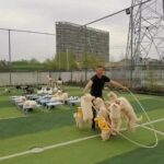 Mike Colter Instagram - Hope this weekend is a fun one. Try to do something that puts a smile on your face 😀 #doggylove #leaderofthepack #jumpforjoy #mansbestfriend #weekendvibes