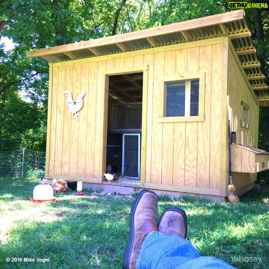 Mike Vogel Instagram - Built this in my technology absence. Now we have 27 chickens! Making sure the big ones play nice with the littles.