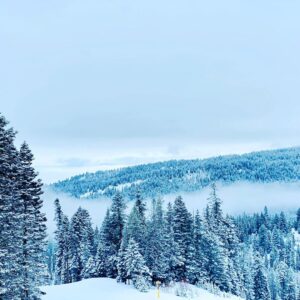 Mike Vogel Instagram - Bringing in the New Year in one of my favorite places on earth. Idaho has been showing off.  After decade of not riding, the kid’s still got it!  Now it’s time to teach the new generation. G-Money is a natural!...... Happy New Year!
@brundagemtn #mccall #visitmccall