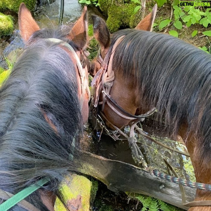 Mike Vogel Instagram - “Daddy, the only reason I want to go on this trip is for the horseback ride”. I had promised her a ride through the mountains. My oldest is used to riding horses through the rolling pastures of Tennessee, but never the steep mountains of Idaho. I’ll say this, parenting is tough, and there have been so many times during quarantine where I just want a break from my kids.... (I’m sure none of you have felt the same way). I have had to slap myself around and remind myself that I will never ever be given this gift again, in my life. A time where life slows down enough that I am forced to connect and spend quality time with them, and the business of life is pushed to the side. There are no pressing engagements. The world has slowed down. This goes against my driven nature, but I am thankful for the opportunity to watch them grow. And man, looking at this picture, it happens FAST. So thankful for @yahoocorrals and Sky Wilson for taking us on trail ride through her private slice of Idaho. If you’re in McCall, look her up. You won’t regret it. It’s all Cassy still talks about. #getoutthere #idahostillsucks #slowdown #horsesarebetterthanpeople