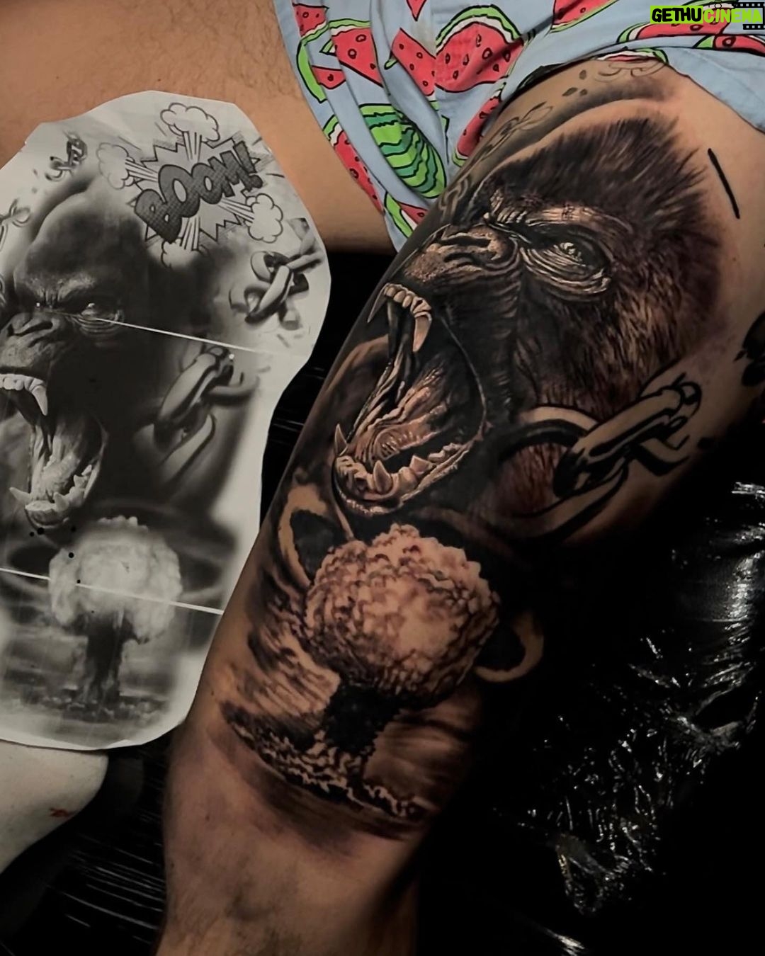 Miloš Petrášek Instagram - Prozdělaná nohavice s ministrem🤘 🦍🍉 @milos_petrasek Working with: @fkirons @stencilstuff @hustlebutterdeluxe @intenzetattooink @kwadron #tattoo #inked #inkedboy #tats #realistic #realistic_arts #realistictattoo #realisticink #realism #realismtattoo #blackandwhite #blackandgrey #blackandgreyink #drawing #draw #armtattoo #prague #sleevetattoo #gorila #mma #animal Ariink