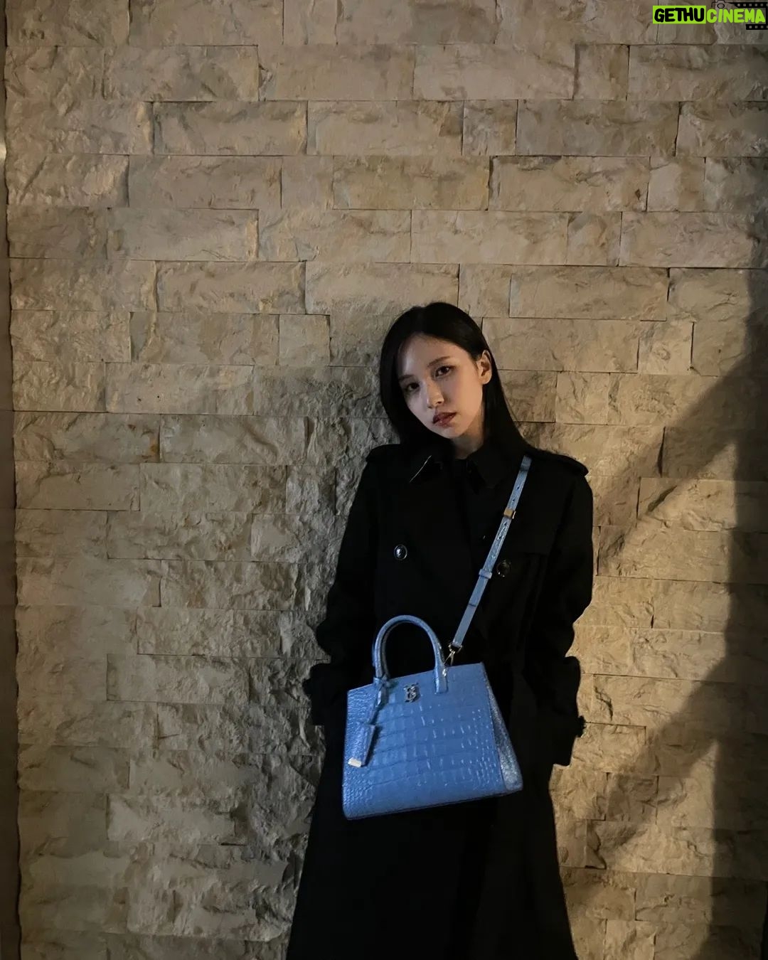 Mina Myoui Instagram - @Burberry #TheFrancesBag #Ad
