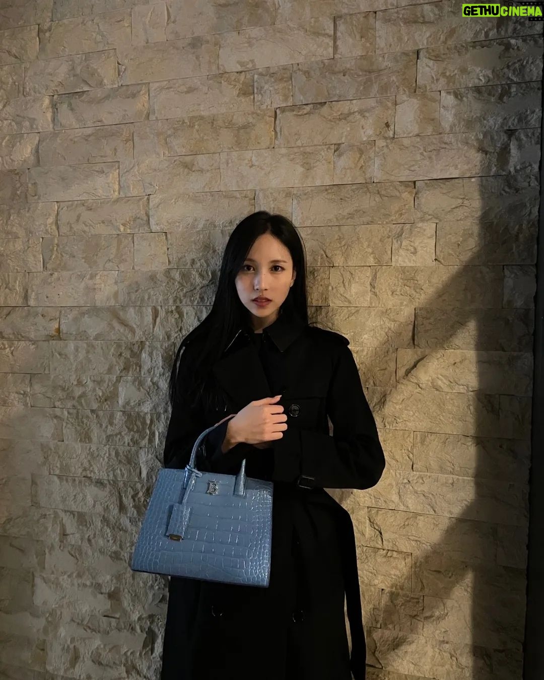 Mina Myoui Instagram - @Burberry #TheFrancesBag #Ad
