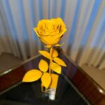 Mina Myoui Instagram - 🌹💛 #FendiCouture #PR