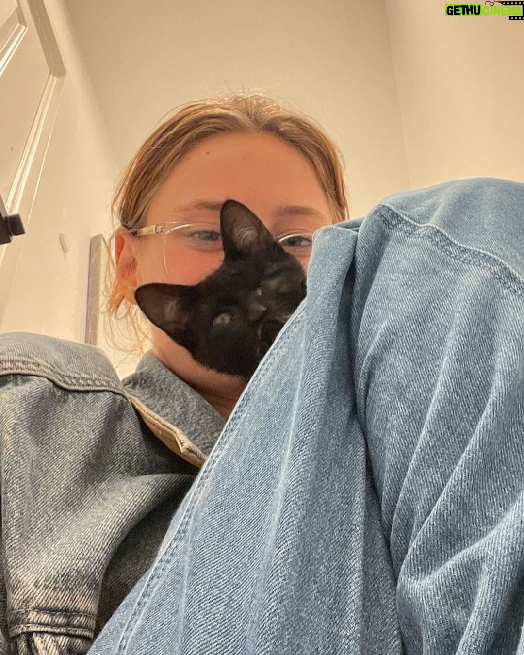 Mina Sundwall Instagram - Happy #GivingTuesday :) this year I’ve been working with @friendsofnormie, a rescue organization saving cats and kittens <3 you can support them and learn more by following them, or if you’re able to donate visit the link in their bio 🐱