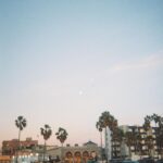 Mina Sundwall Instagram - life is life-ing