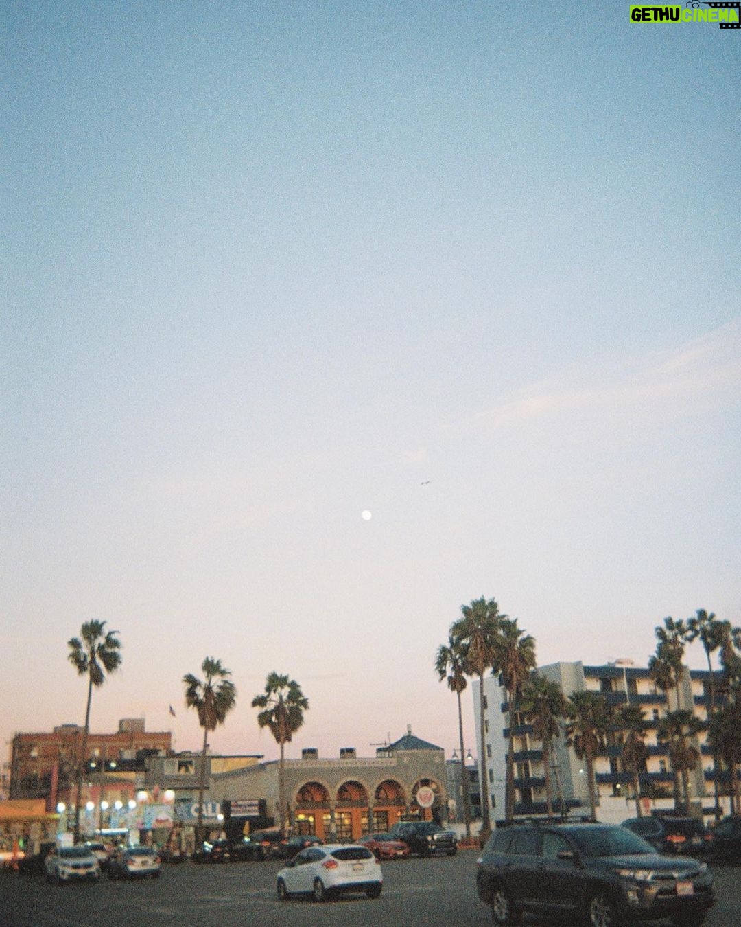 Mina Sundwall Instagram - life is life-ing