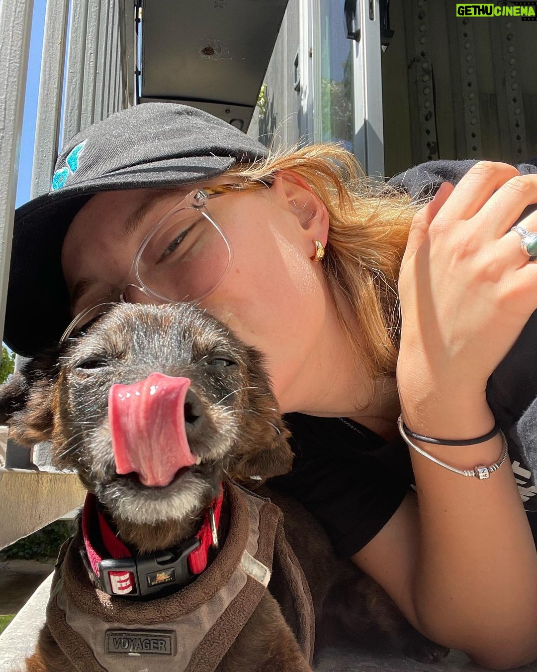 Mina Sundwall Instagram - happy birthday little bat <3