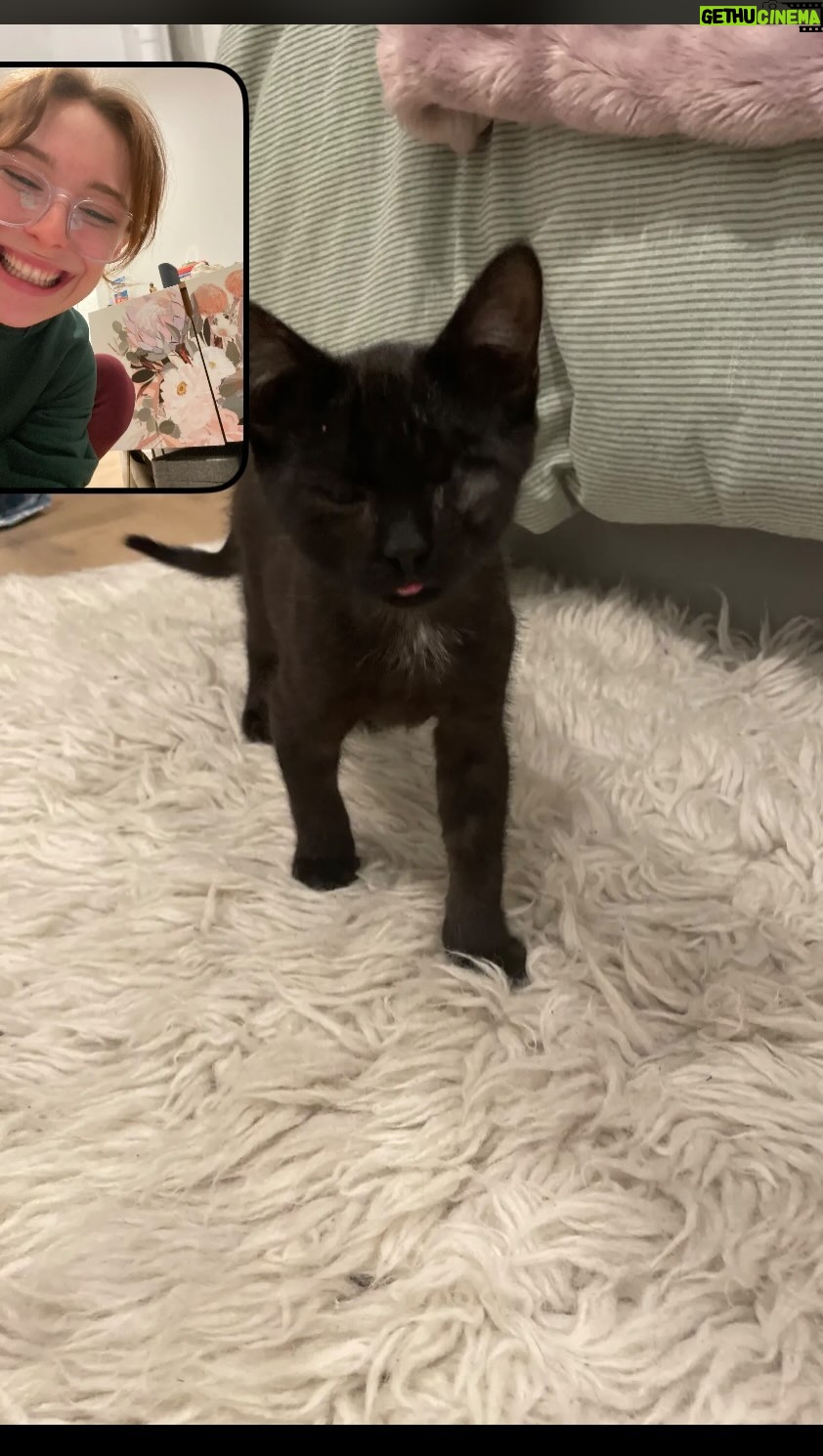 Mina Sundwall Instagram - the story of my three kittens, and how you can help if you want to :) if you or anyone you know is interested in fostering or adopting in LA, there are plenty more cats and kittens to be saved! contact @friendsofnormie with any questions or donations <3