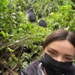 Miranda Kerr Instagram – An unforgettable day trekking through the forest and witnessing a family of gorillas in their natural habitat 🦍🦍🦍