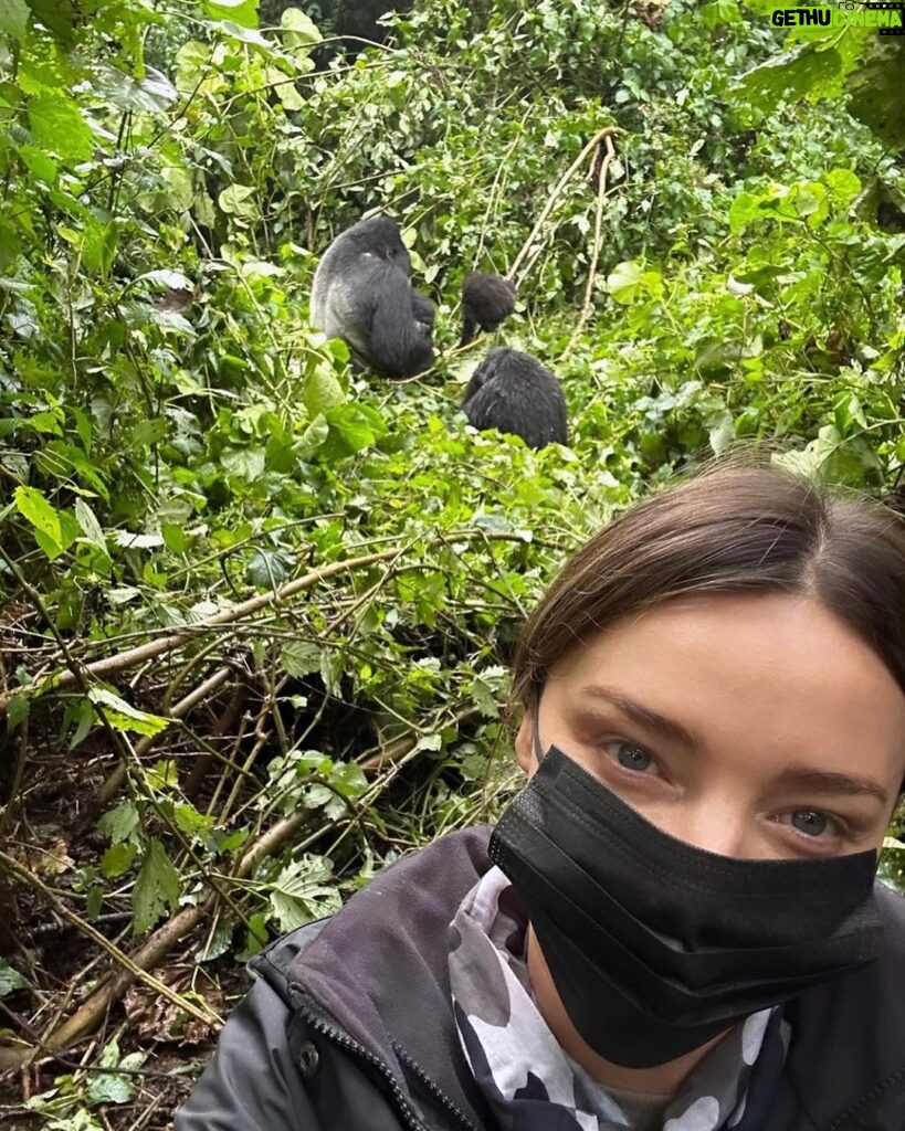 Miranda Kerr Instagram - An unforgettable day trekking through the forest and witnessing a family of gorillas in their natural habitat 🦍🦍🦍