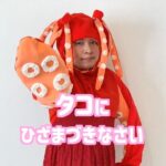 Misoo No Instagram - たこバズってね！#新キャラ #たこお嬢 #脳みそ夫 #タコにひざまづきなさい