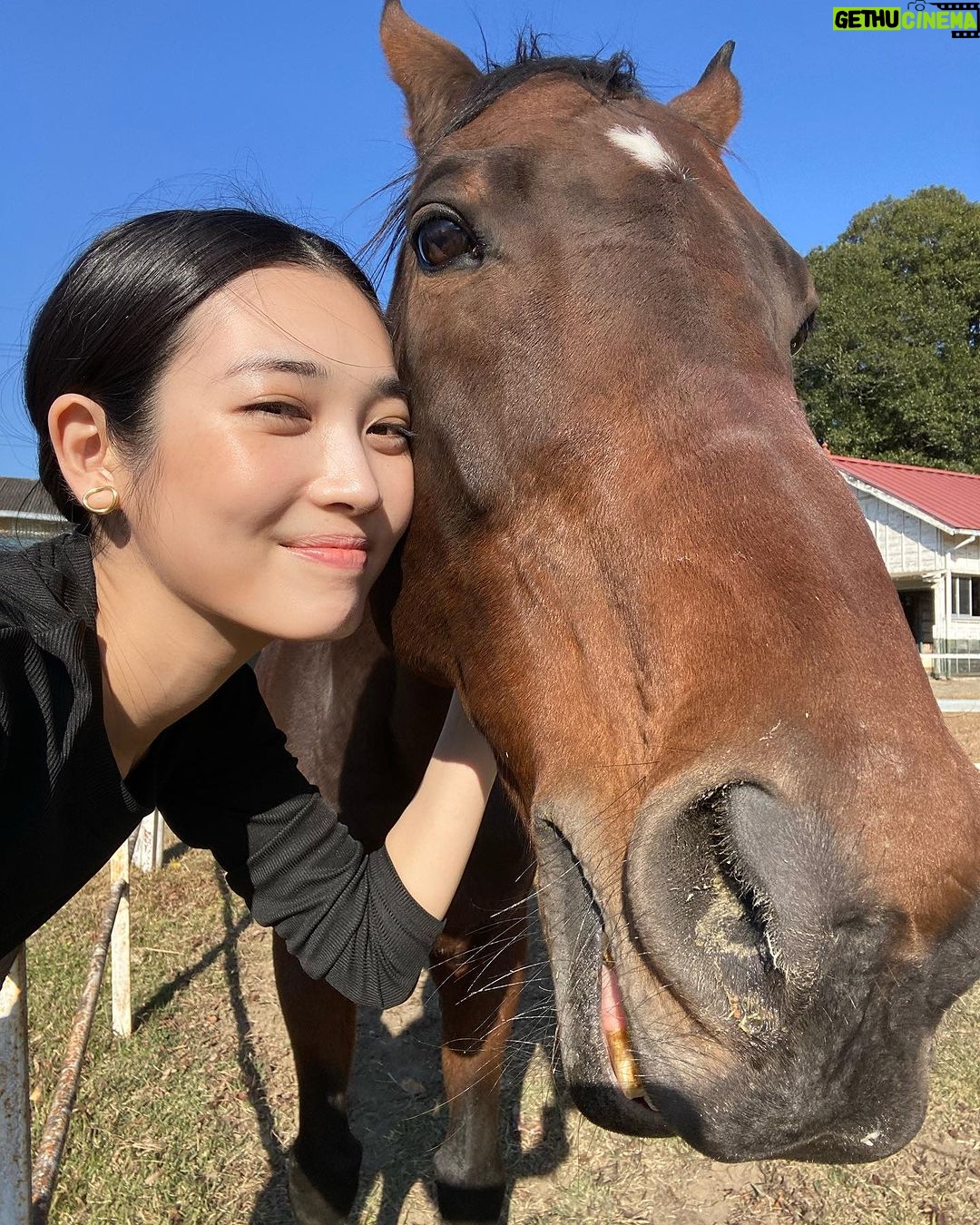 Miyu Hayashida Instagram - Thank you for the horses and the beautiful ranch. They always give me a wonderful time of peace,healing and lovely🌷♡ Libertas of deepimpact, thoroughbredhorses and pony🐴🐴🐴 #ridinghorse#deepimpact #thoroughbredhorse#pony