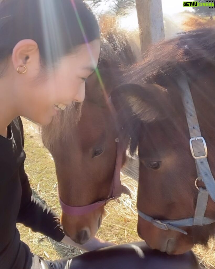 Miyu Hayashida Instagram - Thank you for the horses and the beautiful ranch. They always give me a wonderful time of peace,healing and lovely🌷♡ Libertas of deepimpact, thoroughbredhorses and pony🐴🐴🐴 #ridinghorse#deepimpact #thoroughbredhorse#pony