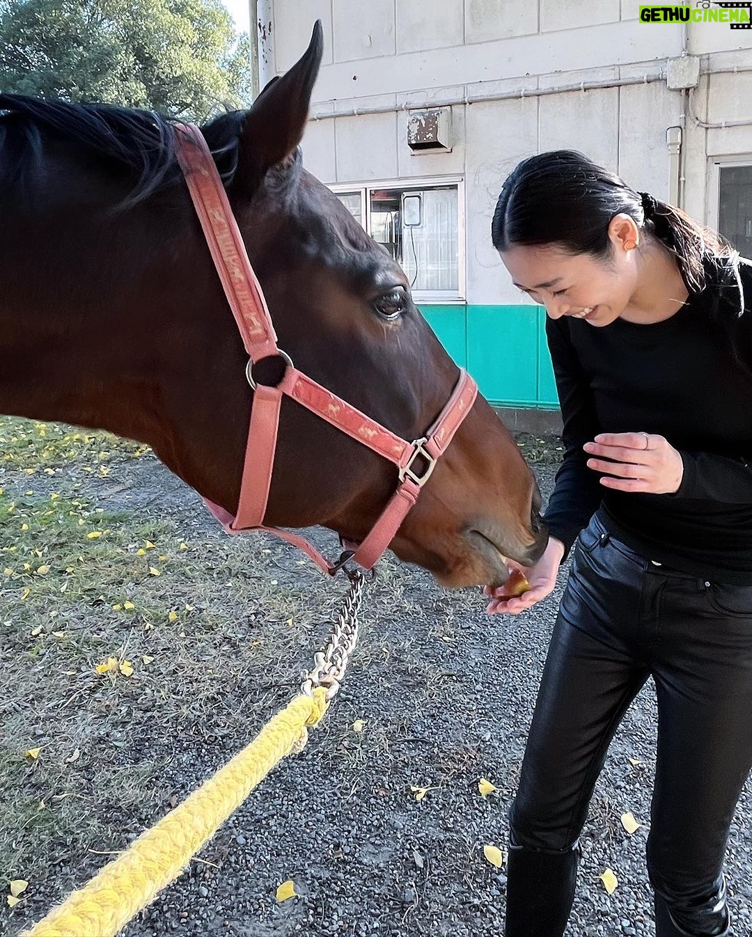 Miyu Hayashida Instagram - Thank you for the horses and the beautiful ranch. They always give me a wonderful time of peace,healing and lovely🌷♡ Libertas of deepimpact, thoroughbredhorses and pony🐴🐴🐴 #ridinghorse#deepimpact #thoroughbredhorse#pony